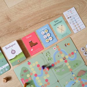 Plateau de jeu de Randognon, avec les pions, le dé en bois et des cartes : des malus, des équipements et du bonus (bâtons supersoniques)